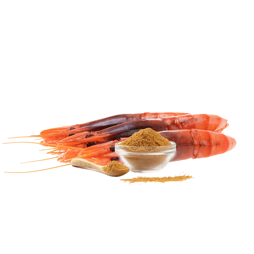 Fumet de marisco