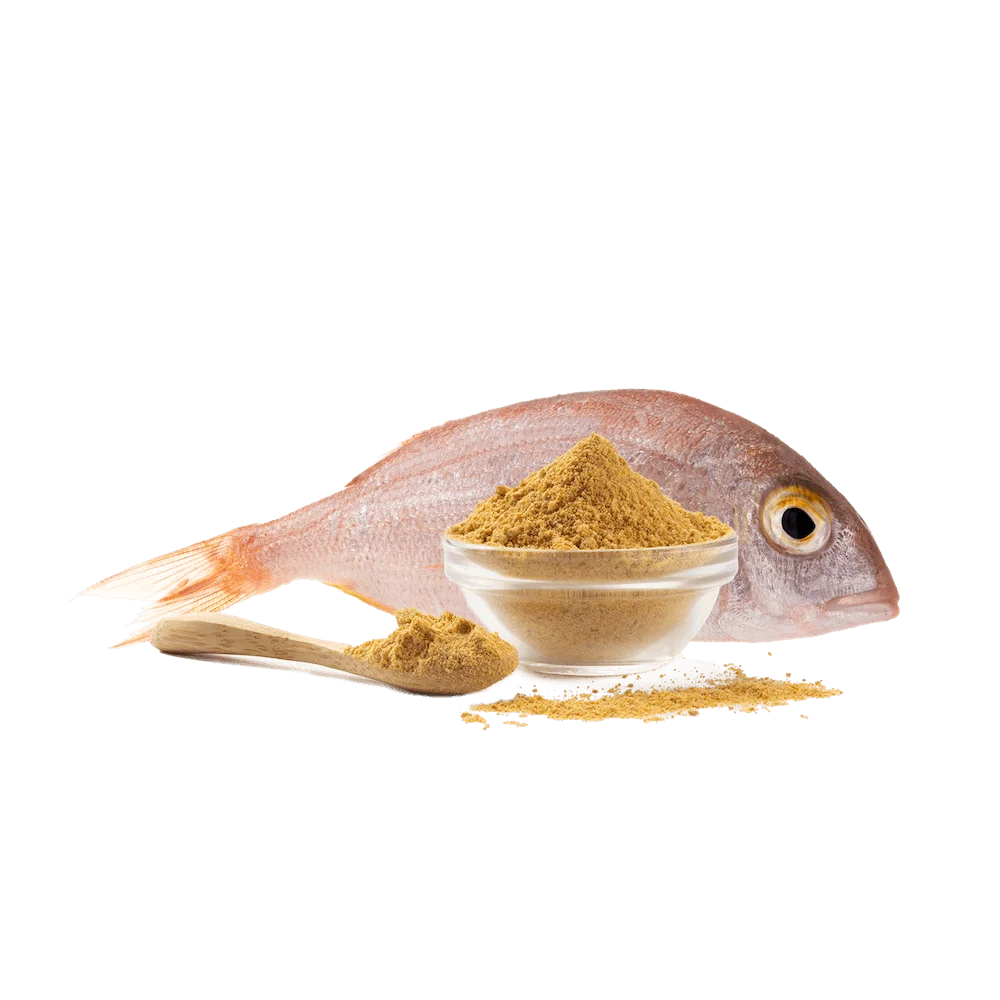 Fumet de pescado